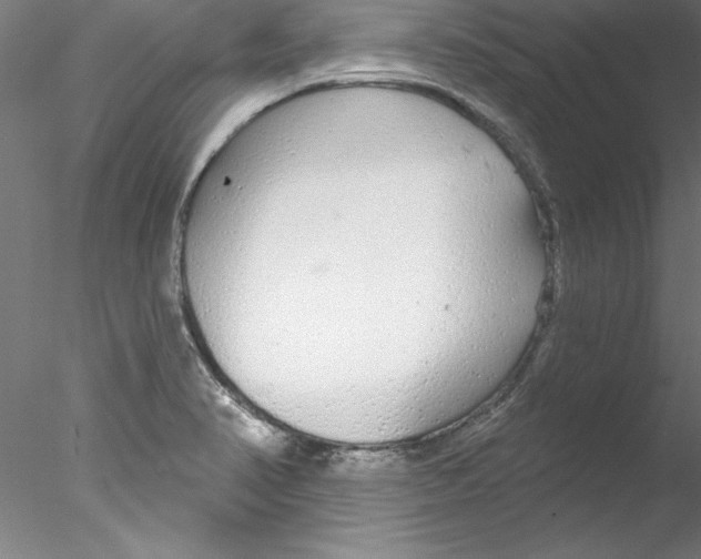 X0000076421374200611031802