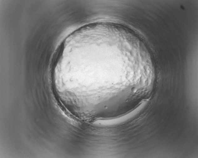 X0000076421375200611031802