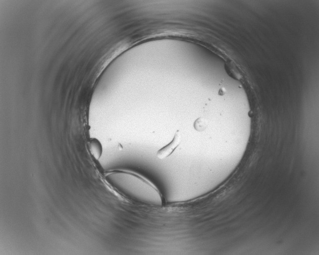 X0000076421377200611031802