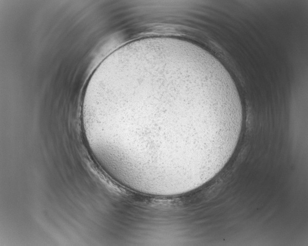 X0000076421378200611031802