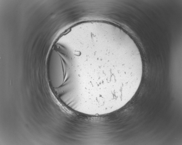 X0000076421380200611031802