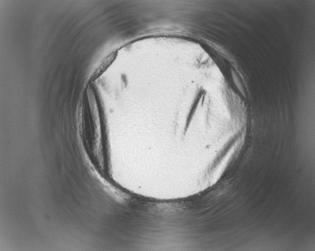 X0000076421383200611031802