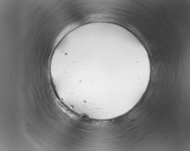 X0000076421386200611031802