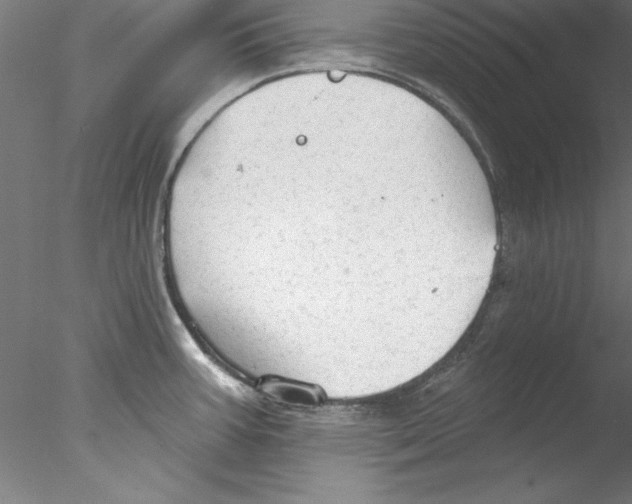 X0000076421387200611031802