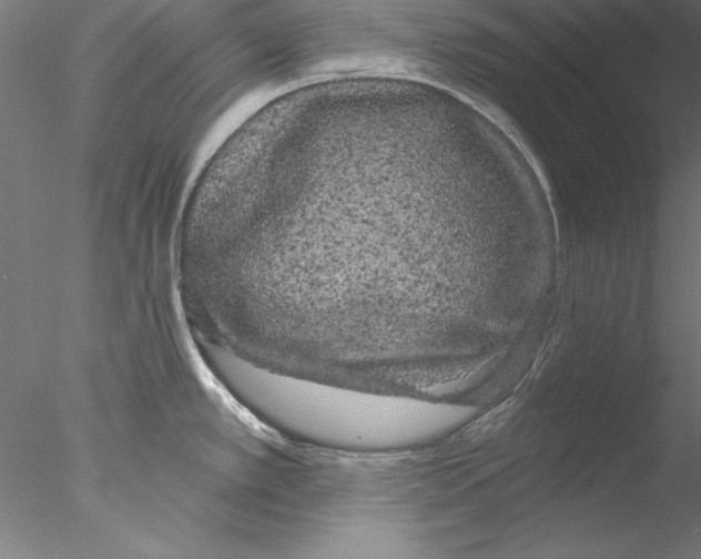 X0000076421389200611031802