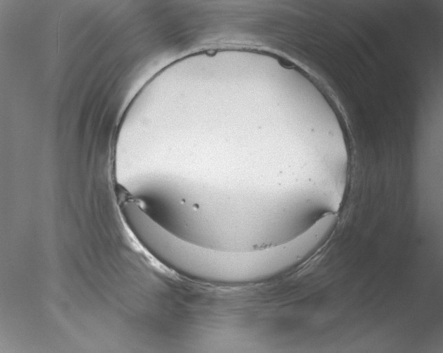 X0000076421390200611031802