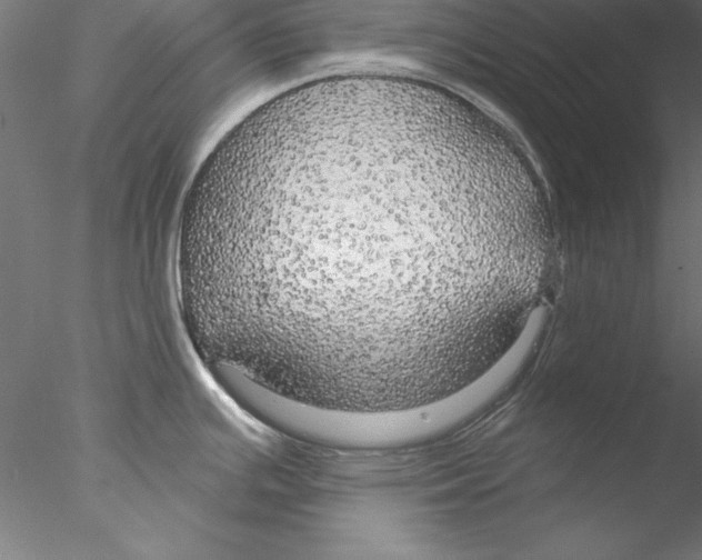 X0000076421391200611031802