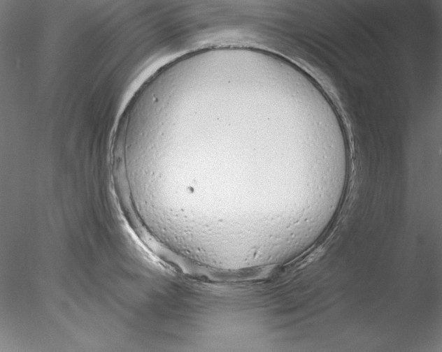 X0000076421392200611031802