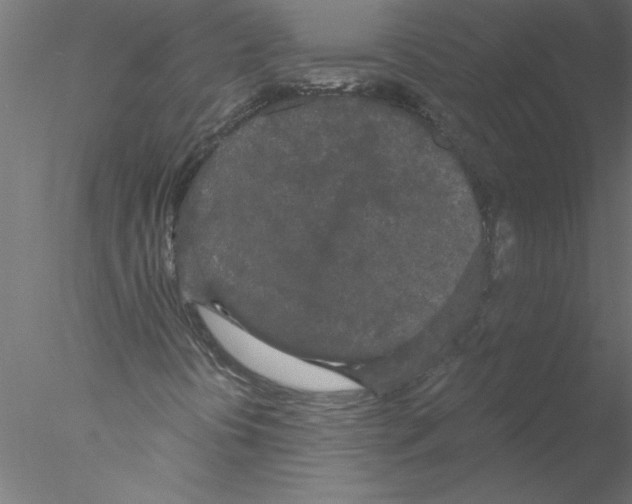 X0000076421394200611031801