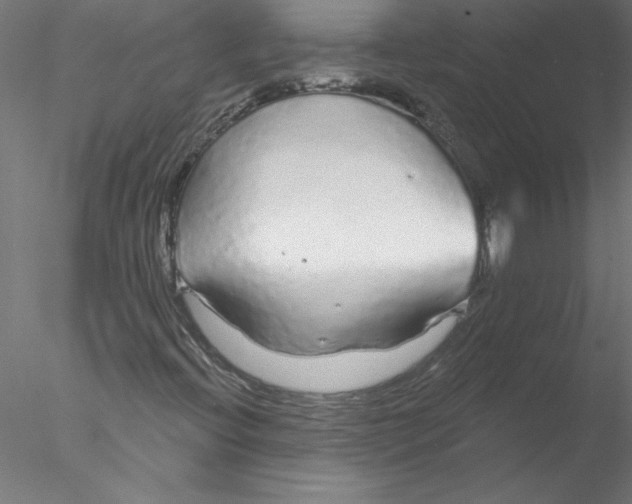 X0000076421396200611031801