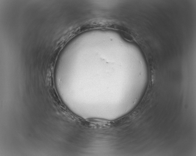 X0000076421397200611031801