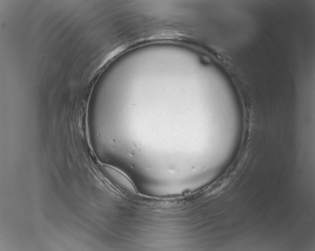 X0000076421401200611031801