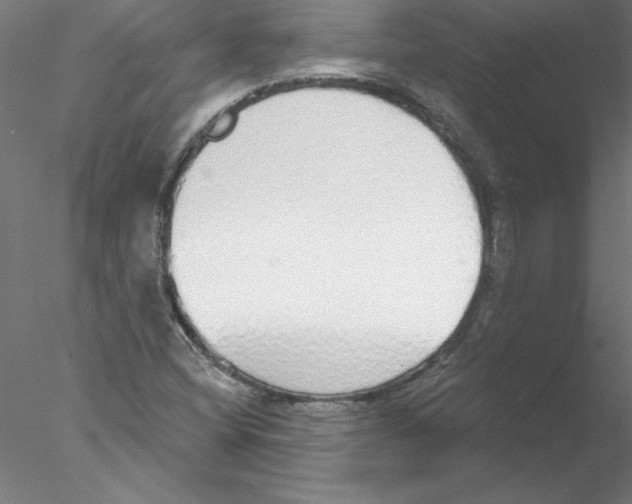 X0000076421404200611031801