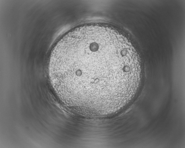 X0000076421405200611031801