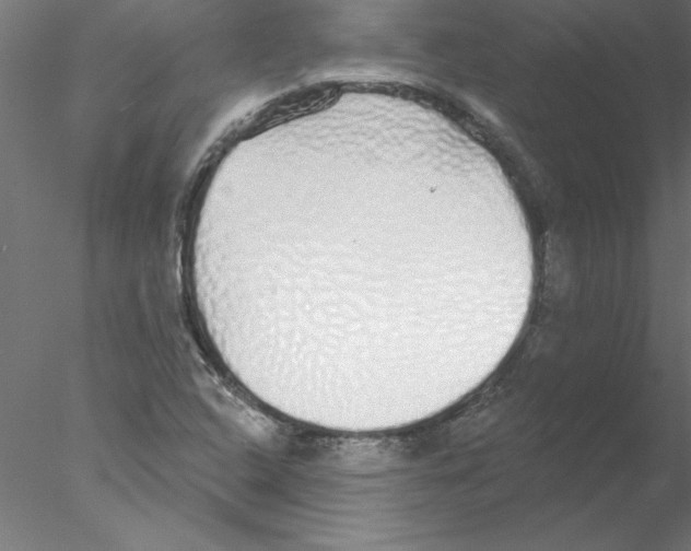 X0000076421408200611031801