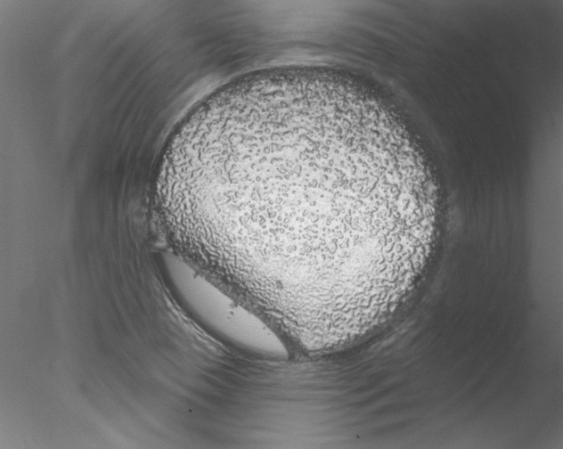 X0000076421409200611031801