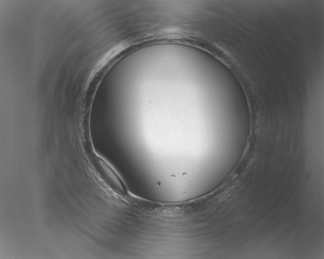 X0000076421410200611031801