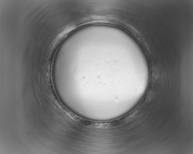 X0000076421411200611031801