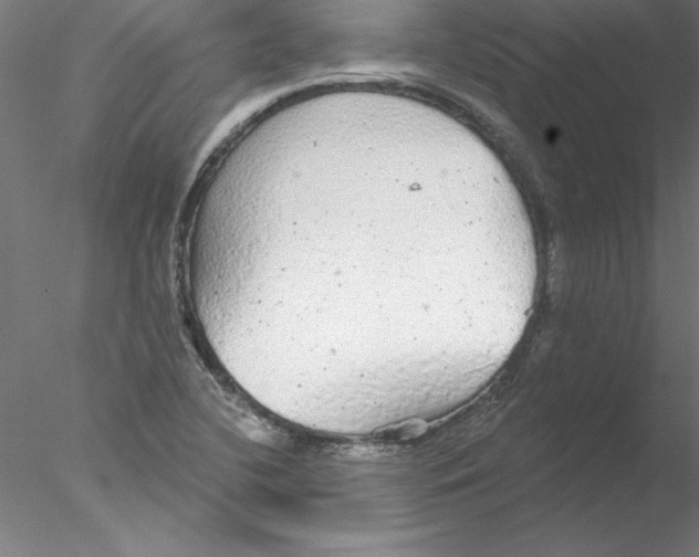 X0000076421412200611031801