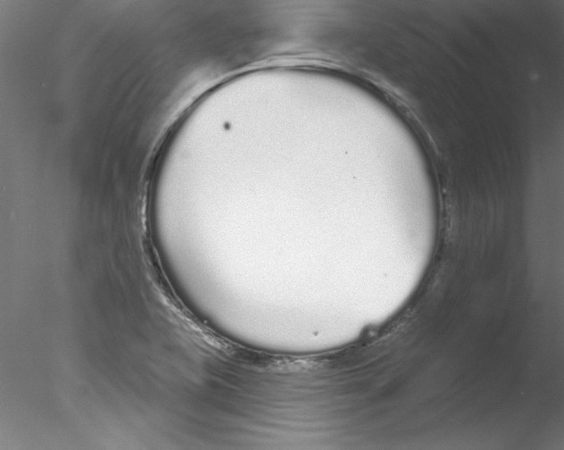 X0000076421415200611031801