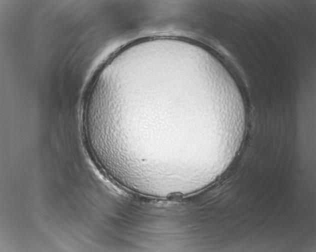 X0000076421416200611031802