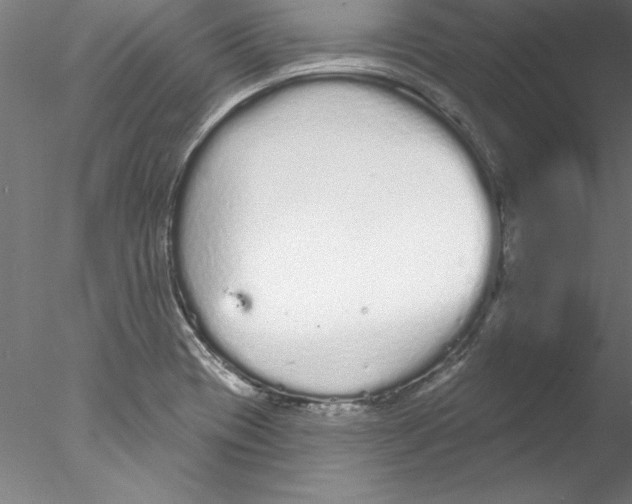 X0000076421417200611031802