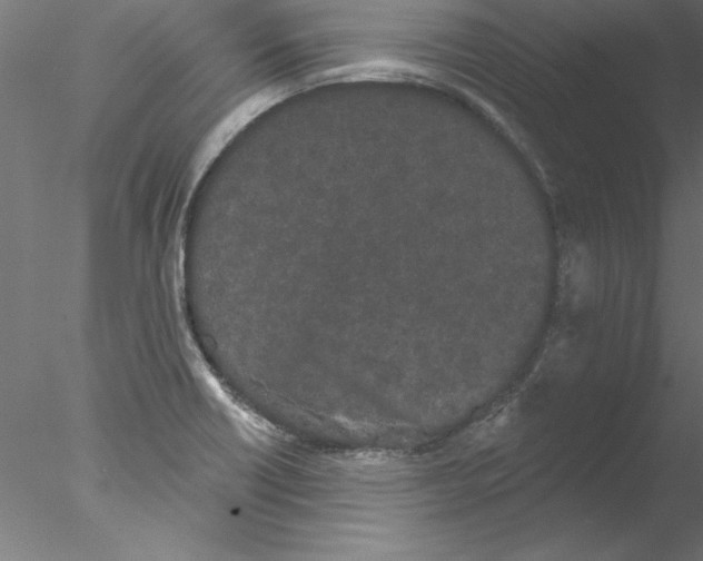 X0000076421418200611031802