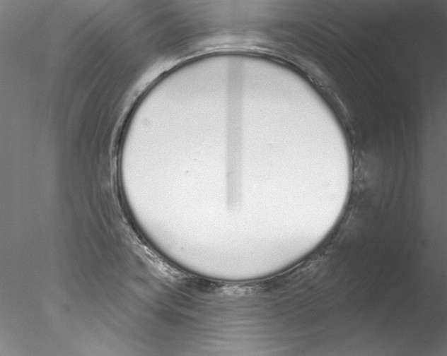 X0000076421419200611031802