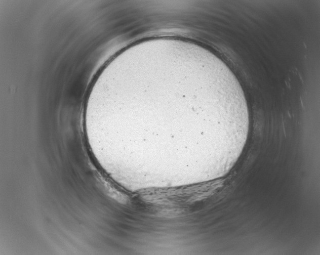 X0000076421420200611031802