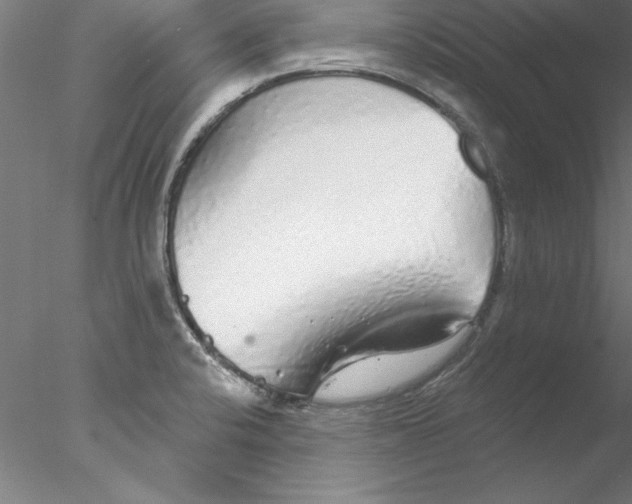 X0000076421424200611031802