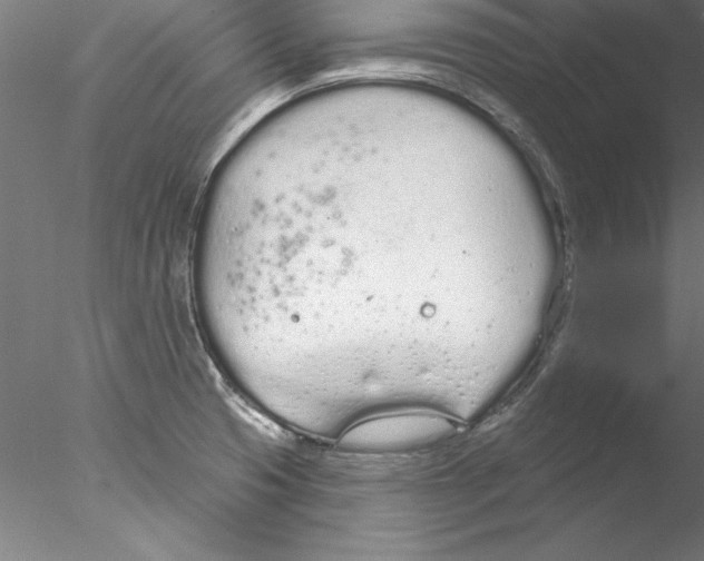 X0000076421425200611031802