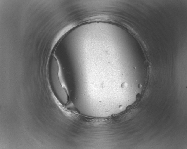 X0000076421426200611031802