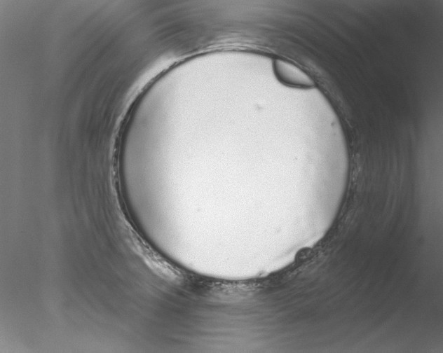 X0000076421427200611031802