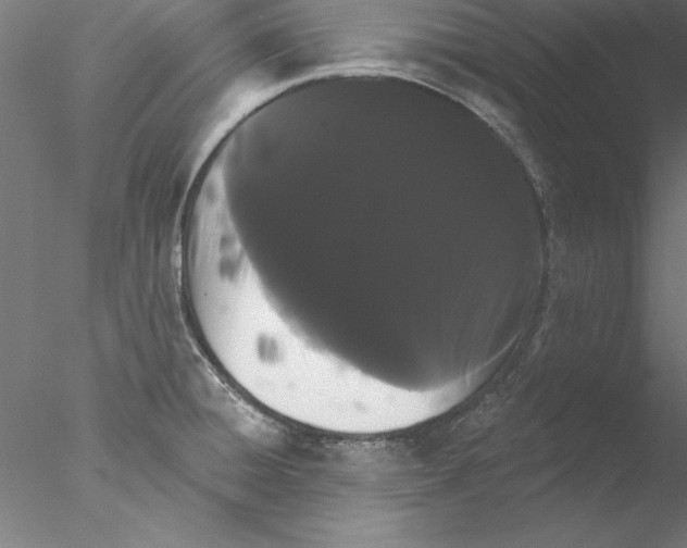 X0000076421428200611031802