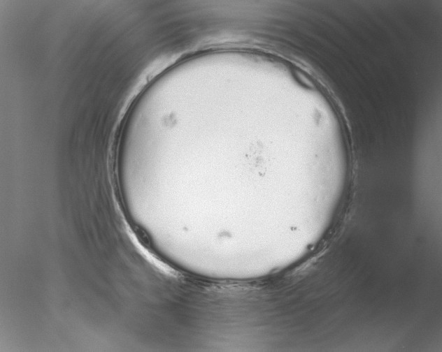 X0000076421429200611031802