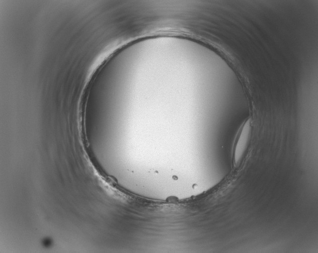 X0000076421430200611031802