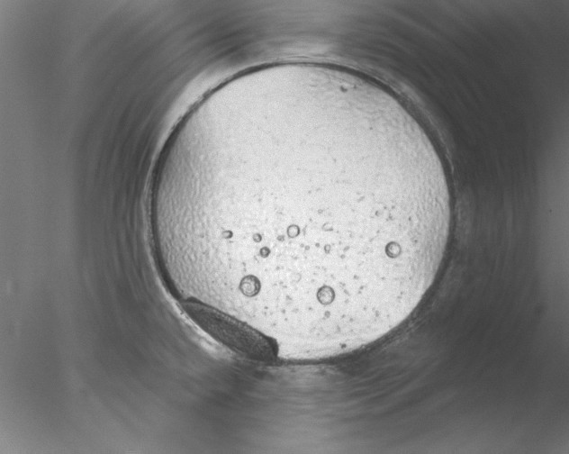 X0000076421432200611031802