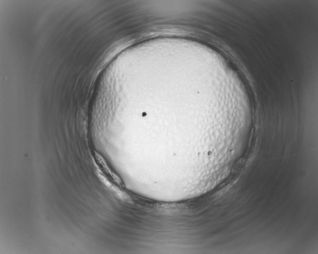 X0000076421433200611031802