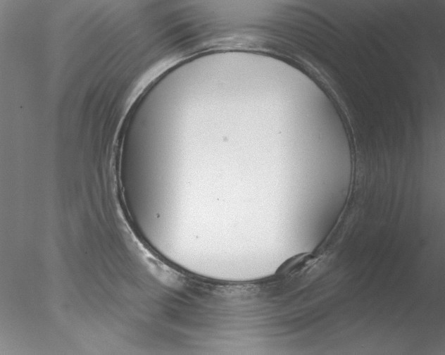 X0000076421434200611031802