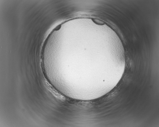 X0000076421435200611031802