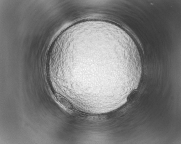 X0000076421437200611031802