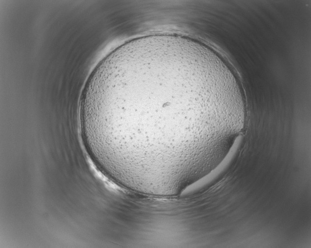 X0000076421439200611031802