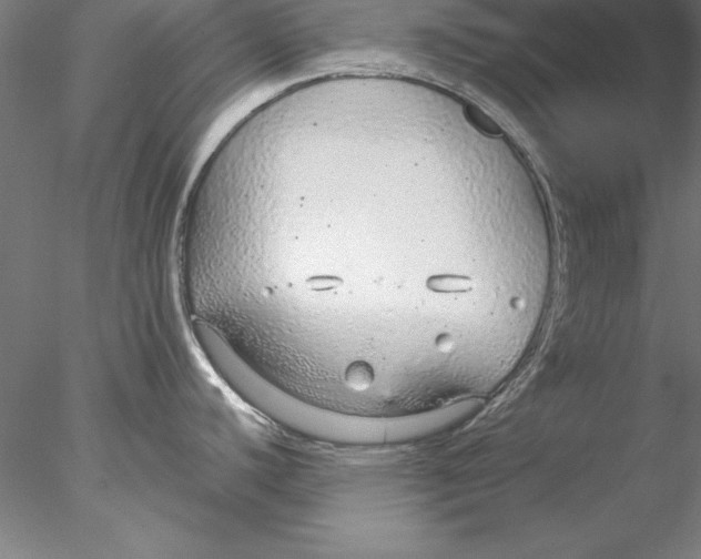 X0000076421440200611031802