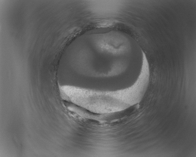 X0000076421441200611031801