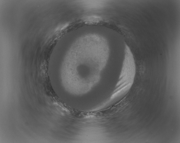 X0000076421445200611031801