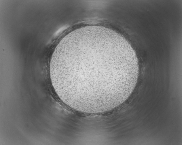 X0000076421446200611031801