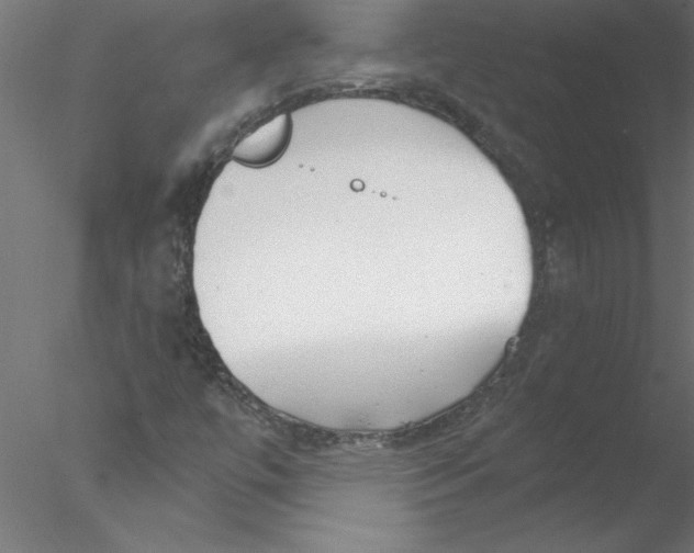 X0000076421447200611031801