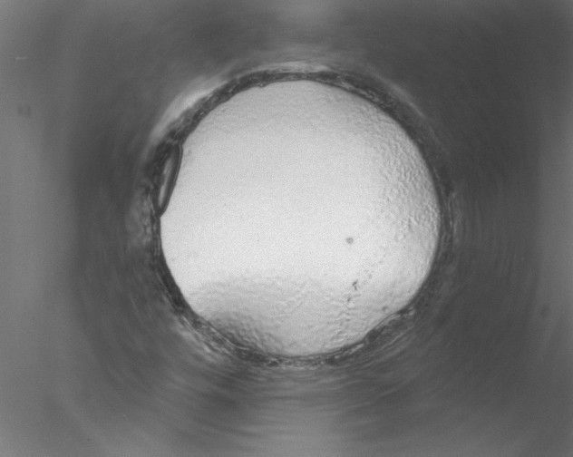 X0000076421448200611031801