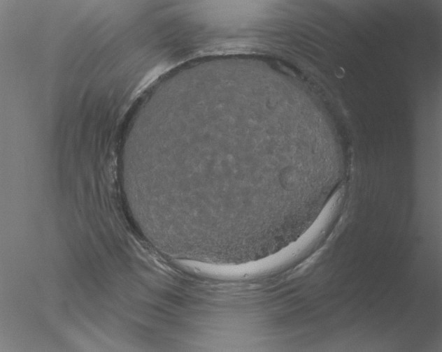 X0000076421449200611031801