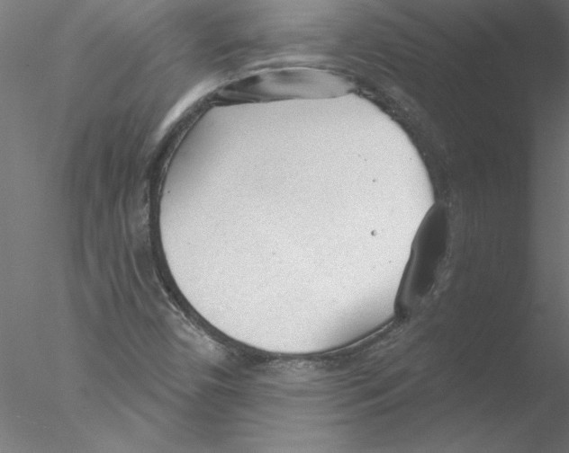 X0000076421450200611031801